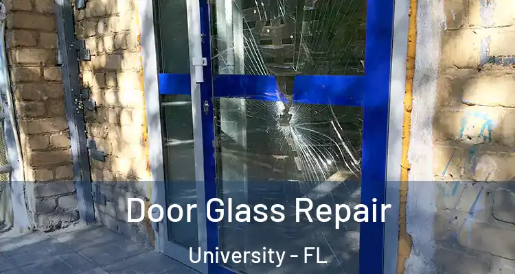  Door Glass Repair University - FL
