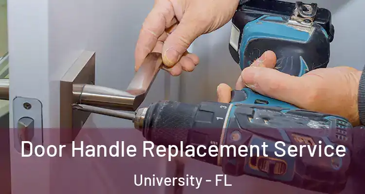  Door Handle Replacement Service University - FL