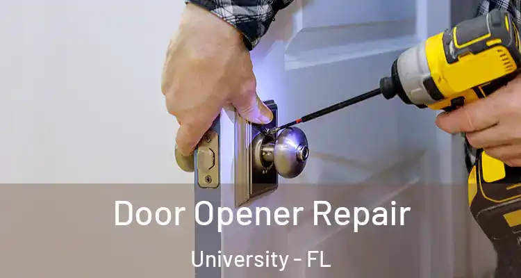  Door Opener Repair University - FL