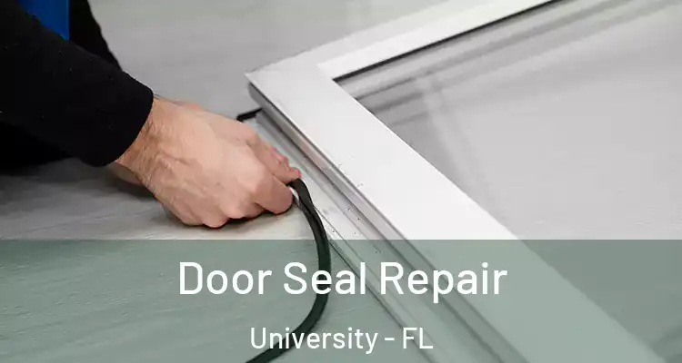  Door Seal Repair University - FL