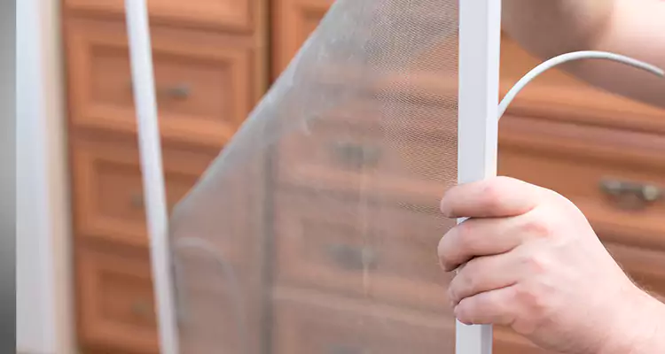 Privacy Mesh Screen Door Installation in University, FL