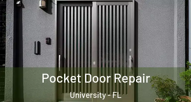  Pocket Door Repair University - FL