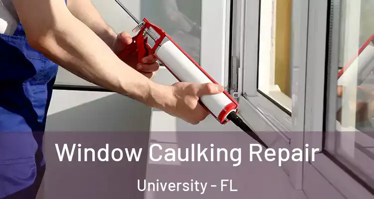  Window Caulking Repair University - FL