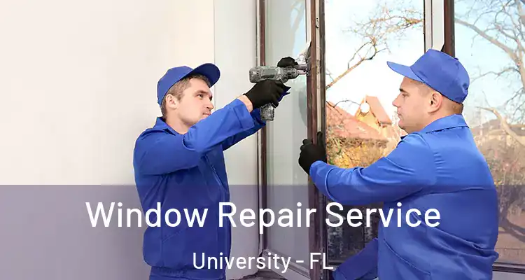  Window Repair Service University - FL